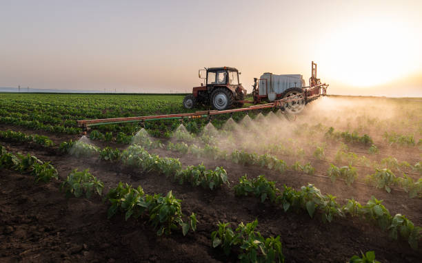 Best Pest Control Near Me in Oroville East, CA