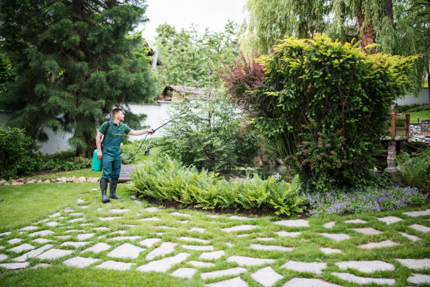 Best Wasp Removal Services  in Oroville East, CA