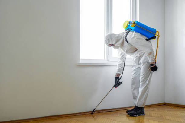 Best Pest Prevention Services  in Oroville East, CA