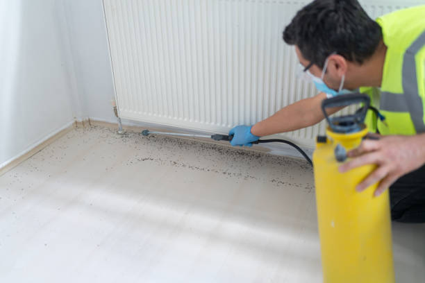 Best Residential Pest Control  in Oroville East, CA