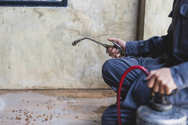 Best Pest Control Near Me  in Oroville East, CA